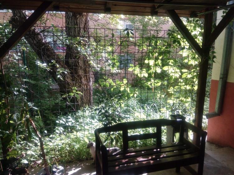 Proprietar, ap 2 cam in casa veche, Mărășești, singur curte - 11