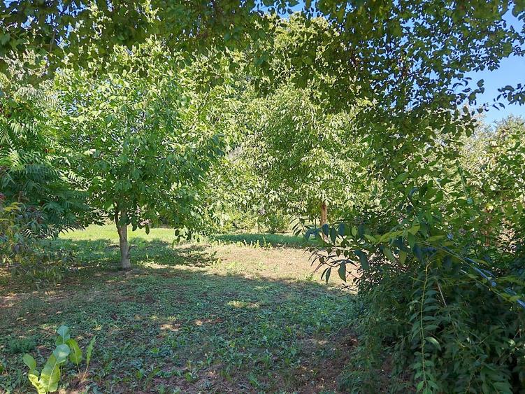 Râșnov - zona Eminescu, casa cu 1000 mp teren. - 10