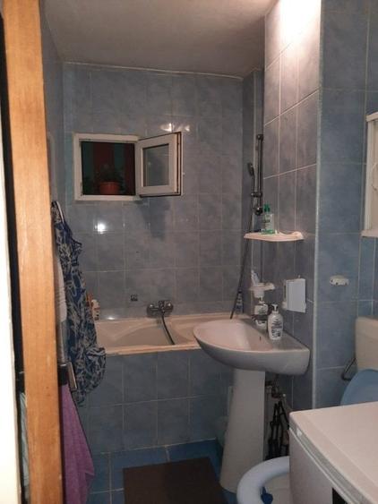 Lacul Tei, stradal, aproape Parcul Circului - 13