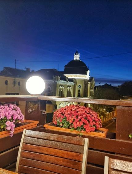 Cismigiu, priveliste superba,  vila consolidata si renovata total. - 6