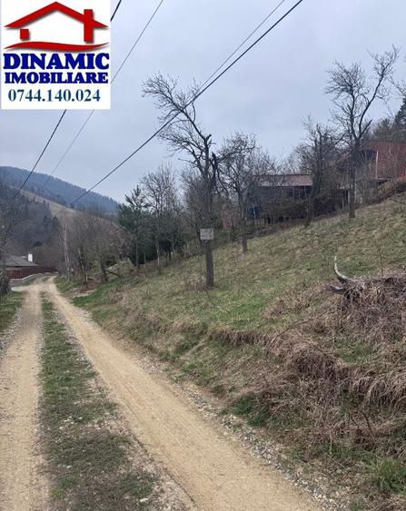 6000 MP teren intravilan, sat Bistrita, 9 Eur/MP - 3