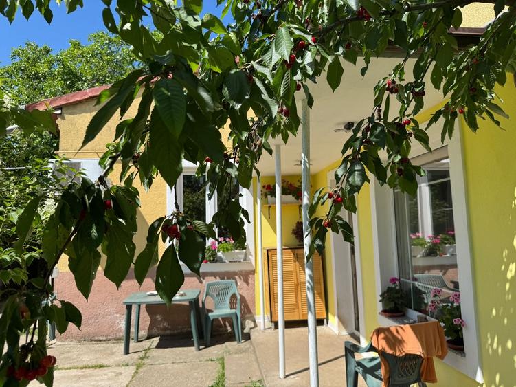 Casă si teren 502 mp Andronache COMISION 0 - 1