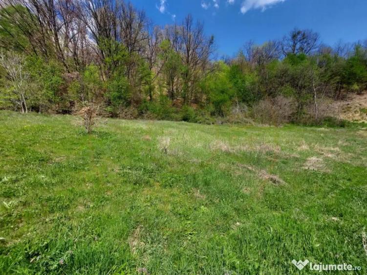 Casa spa?ioasa cu 6 camere ?i teren generos, langa pad - 11