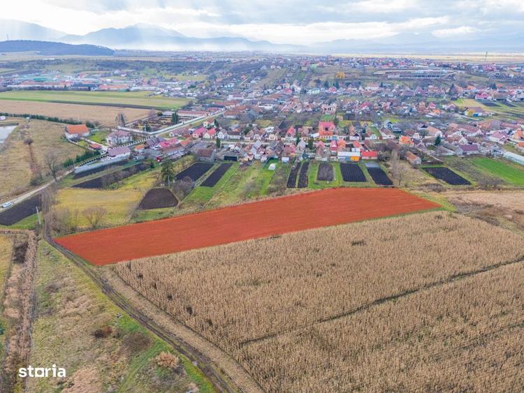 Teren extravilan Bod, 10.000 mp, acces DE 290, zona spre Harman - 4