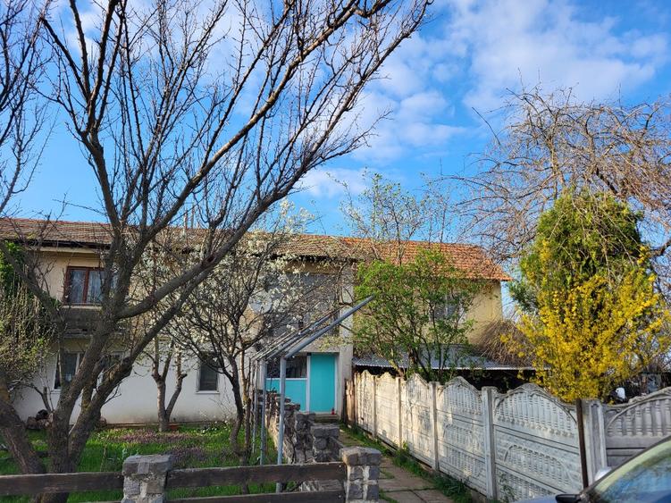 Vand apartament la Pitineiu, Teleorman - 1