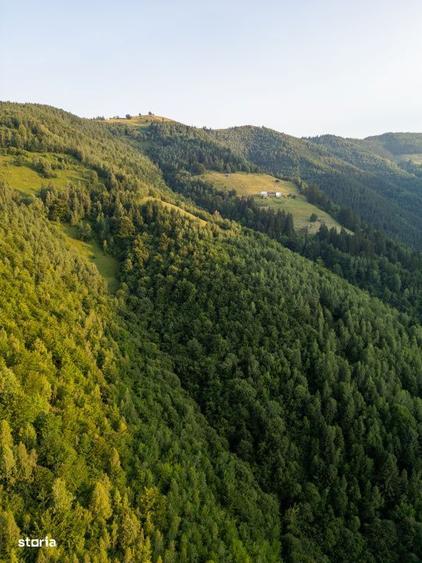 Teren pentru cabana cu panorama la 35 km de cluj - 3