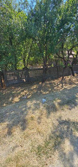 Teren de vanzare - 6