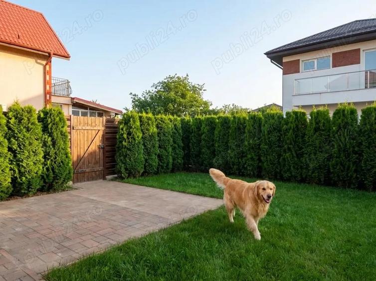 Utimele 5 vile disponibile-Vila 5 camere Ciorogarla, toate utilitatile FINISATA - 7