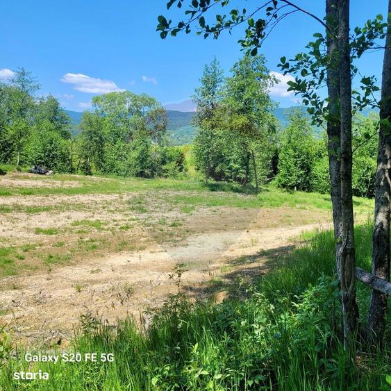 Oaza de lini?te teren de vanzare 6.725 mp - 4