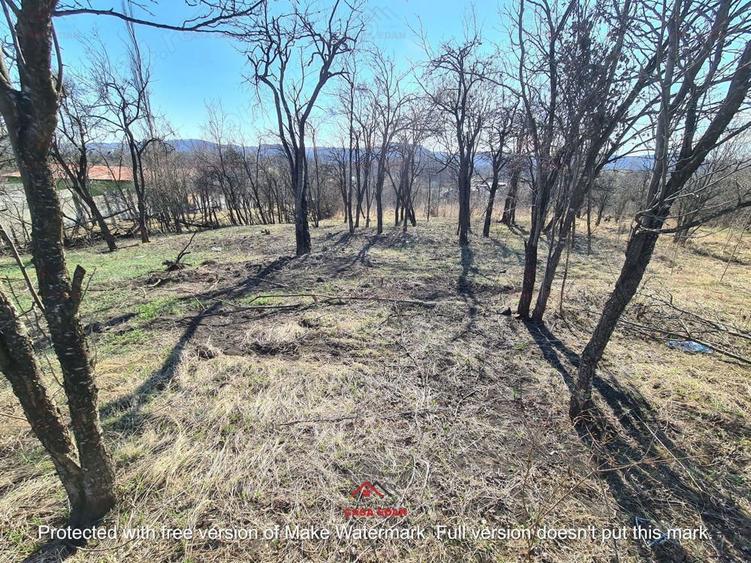 Teren intravilan in Cornu de Jos--4391 mp--43e - 2