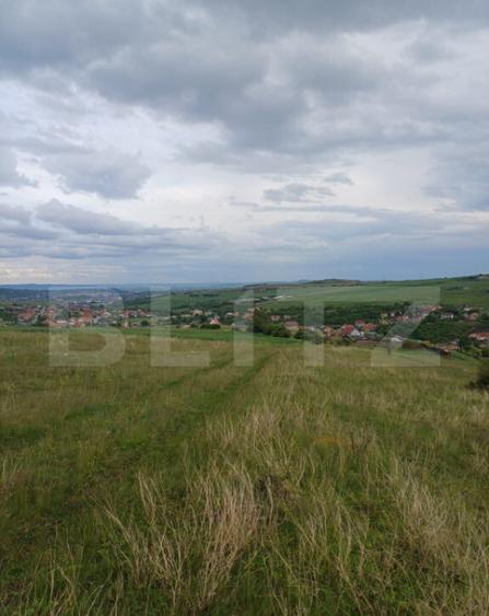 Teren extravilan 1248 mp in Copaceni! Oportunitate investiti - 3