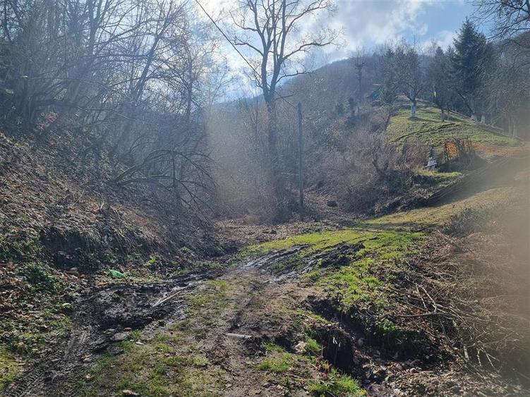 Teren arabil intravilan , priveliste mirifica , zona Schei - 7