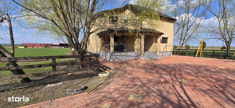 Ferma Zootehnica de Vanzare 6 Ha | Vaci si Oi | Grajd si Saivane | Cal - 8