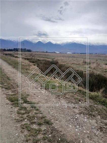 Teren agricol extravilan de 2600 mp, în Cârțișoara