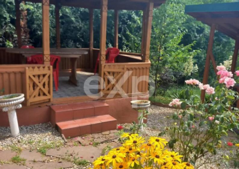 Casa la ?ara complet mobilata, 5.500 mp teren Topli? - 8