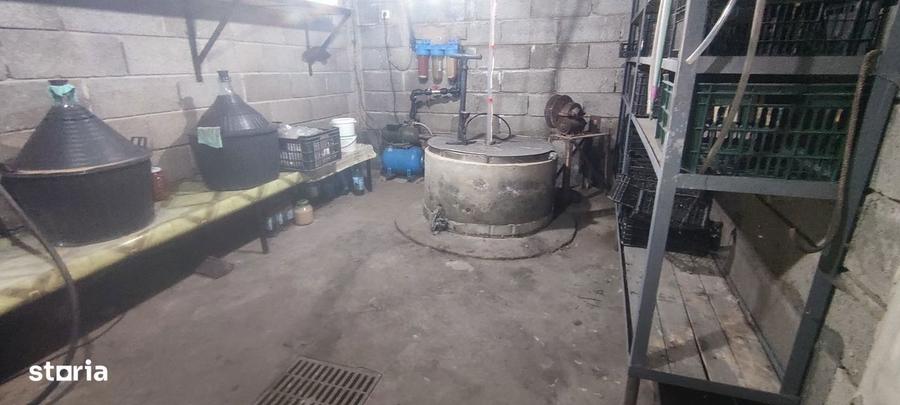Casa renovata, utilitati complete (Gaz) + 1900 mp teren Scurta, BC - 12