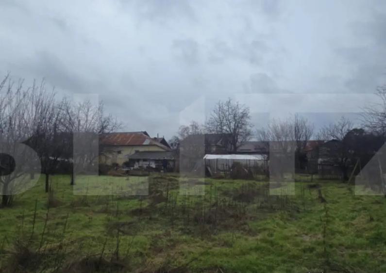 Teren intravilan 1.869 mp, front 80 metri, zona Carcea - St - 6