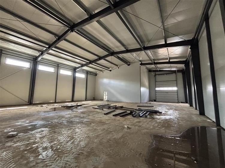 Vanzare depozit/hala/spatiu industrial Chiajna - Centura, ILFOV - 9