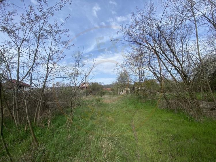 Teren intravilan 1.400 mp - Schitu Golesti AG - 8