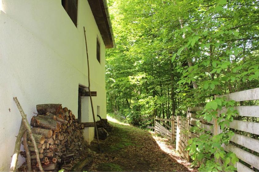Vand cabana pe Valea Sebesului - 5