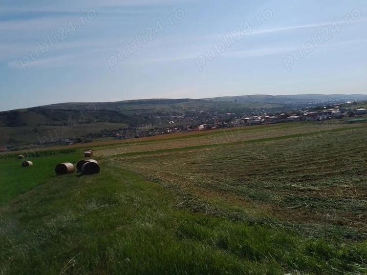 Chinteni 40 euro mp - 4