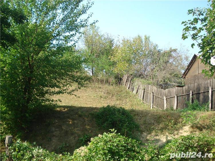 Teren vanzare Calimane?ti, Valcea - 3