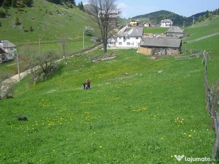 Teren intravilan superb, cu priveli?te ?i utilita?i 1750mp - 2
