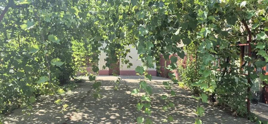 Casa cu spatiu comercial si livada de vanzare - Crangu - Teleorman - 6