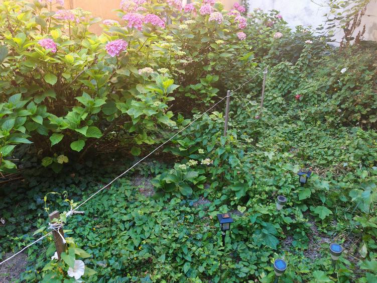 Casa 2 camere singur in curte zona Centrul Istoric - 12