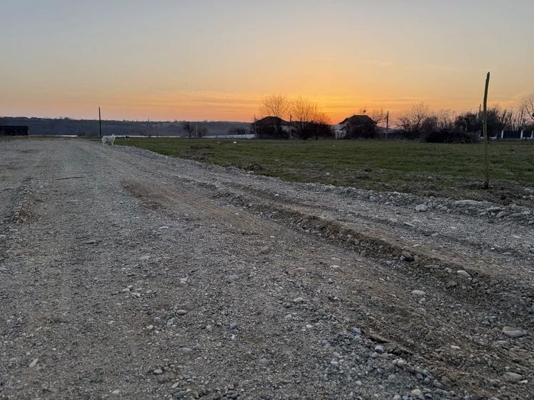 Parcela teren 652mp simian zona paraul baran pe partea cu dunarea - 6