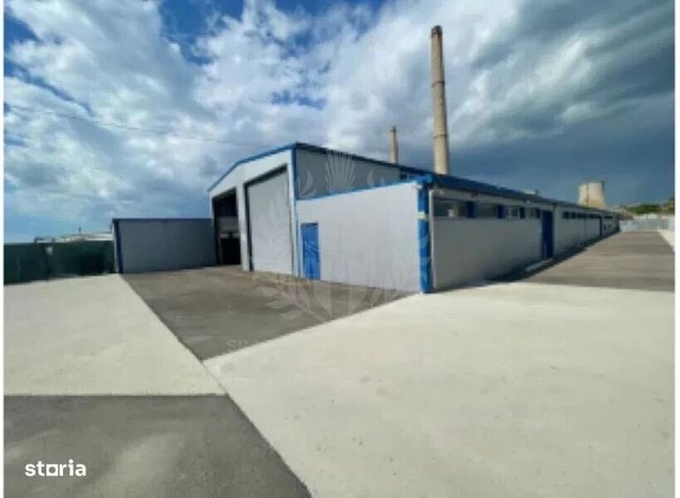 HALA 1800 MP//PLATFORMA BETONATA 5200 MP//ZONA BRAZI - 1