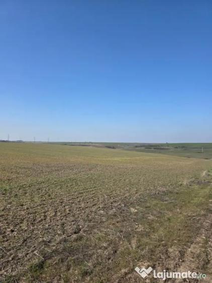 Teren intravilan, 4750 mp, zona Exterior Nord - 1