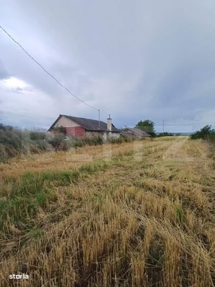 Teren intravilan 6000 mp cu 2 fronturi, parcelabil - 6