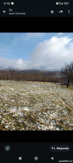 Vand casa cu 5000 mp teren - 2