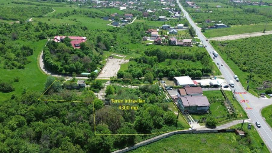 Teren intravilan 4.300 mp - Aninoasa, Dâmbovița | COMISION 0% - 2