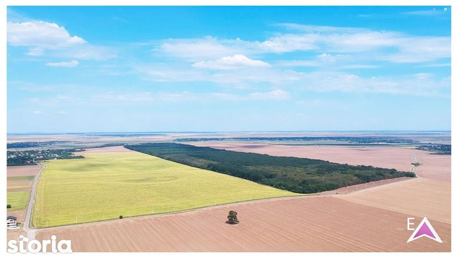 Sat Pope?ti. Curent. Padure. Aer curat, liniste, acces usor Bucuresti. - 6