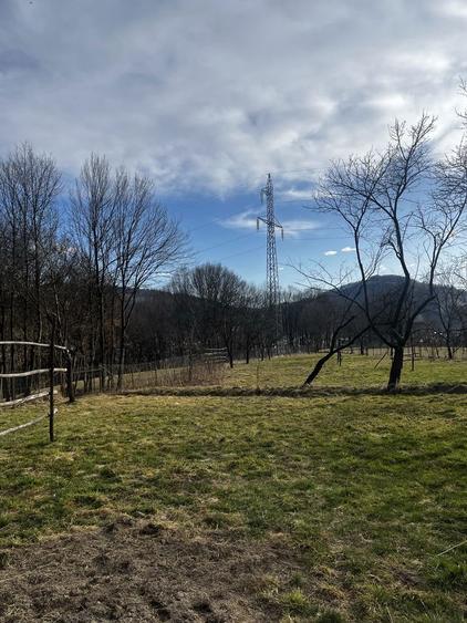 Teren, casa si anexe de vanzare, Viseu de Jos - 8