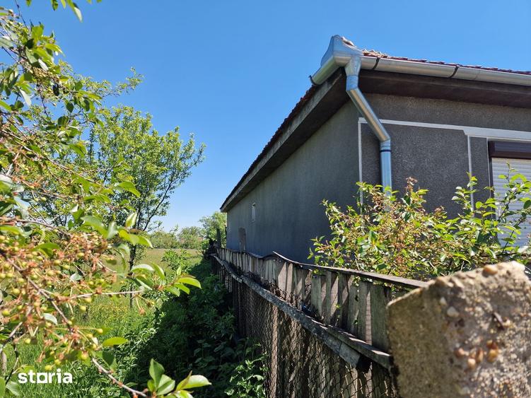 Casă cu 6 camere cu Teren 4780 Mp în Homorog