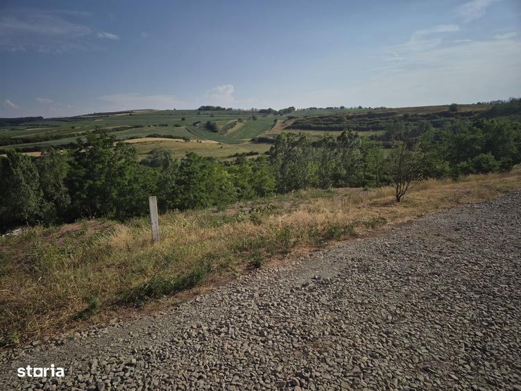 Teren de vanzare, cu utilitati, in Ciugud- Teleac - 2