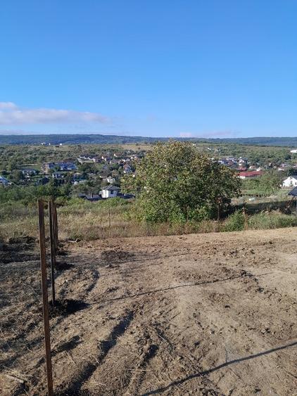 Ocazie ** – Teren intravilan 837 mp, Tomești ** - 1