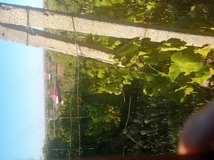 Vand casa de locuit Cuvin ARAD - 8