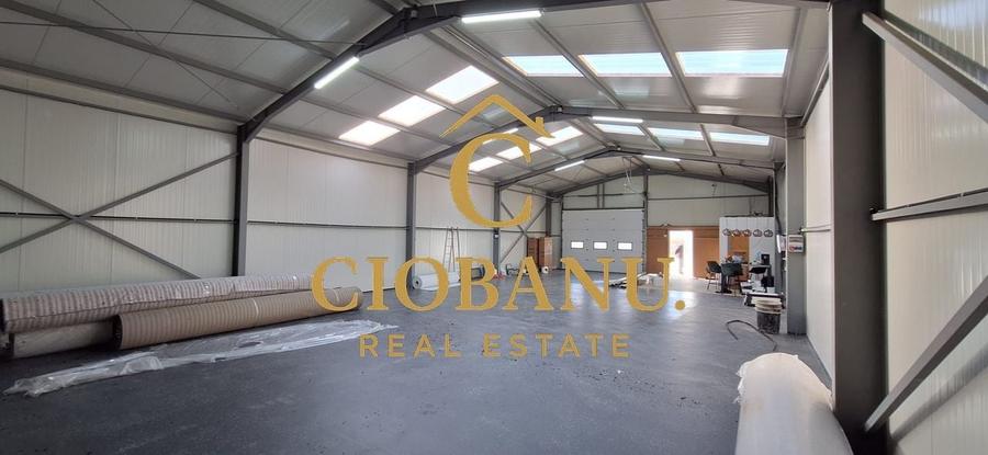 Hala de vanzare in Racarii de Jos - 3