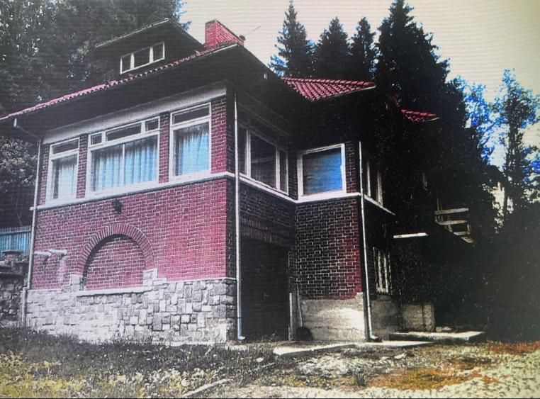 Vila interbelica "Sandoza" - 1