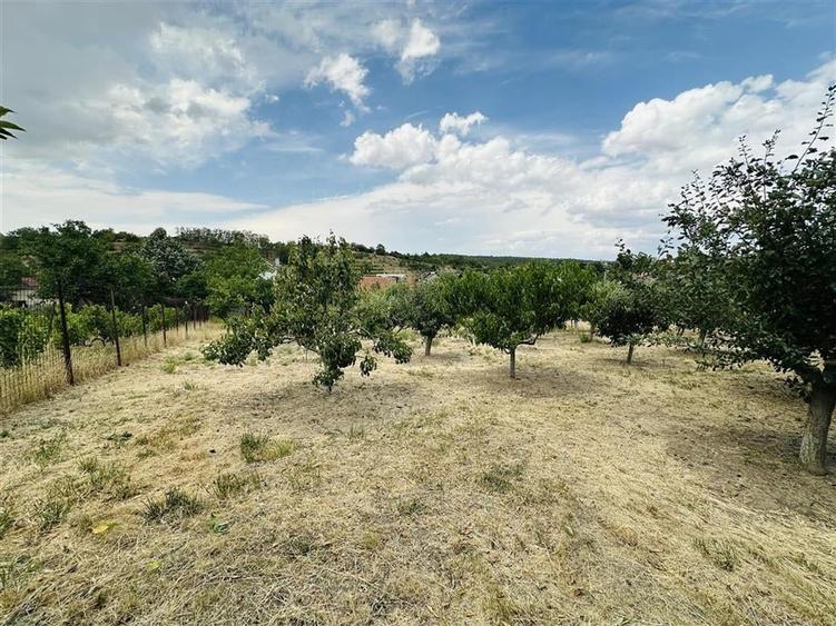 CASA P+M | TEREN 2200 MP | STRADA SOFIEI | ZONA DEALURI - 23