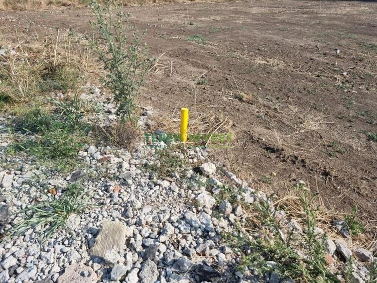 DN 4 Frumusani - Proprietar ofer spre vanzare teren 500 mp - 4