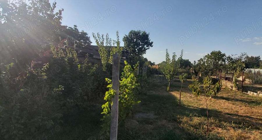 Proprietar vand casa Peciu nou 20 km de Timisoara - 10