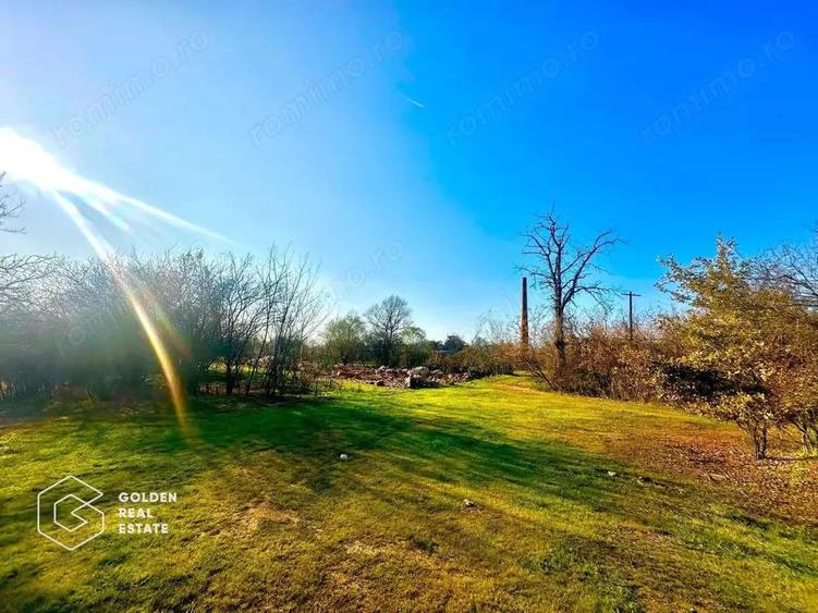 Teren intravilan 71.000mp, Barsa, Renumita Fabrica de caramida si casa 4 camere - 7