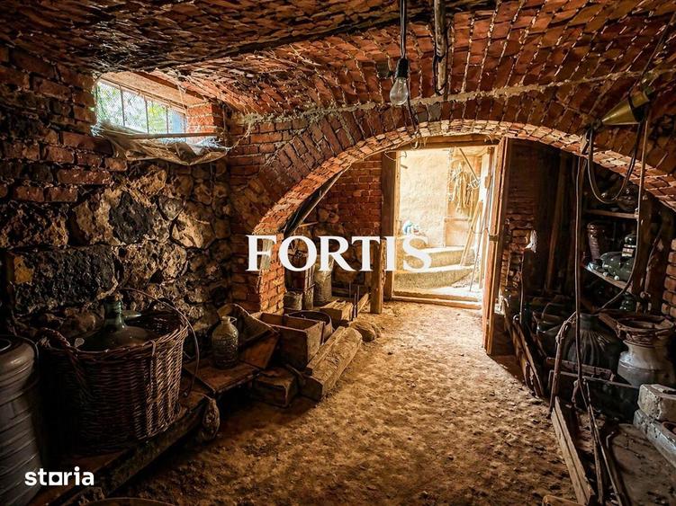 Casa de vanzare in Fagaras, zona 13 Decembrie 0% COMISION - 7