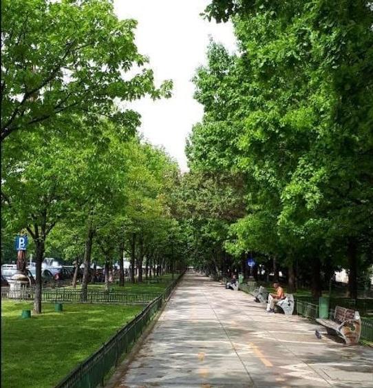 Vanzare apartament de 4 camere in zona bd Unirii-Casa Poporului - 5