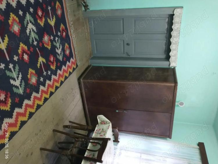 Locuin?a ideala pentru via?a rurala sau turism Dane?, Mure? - 4